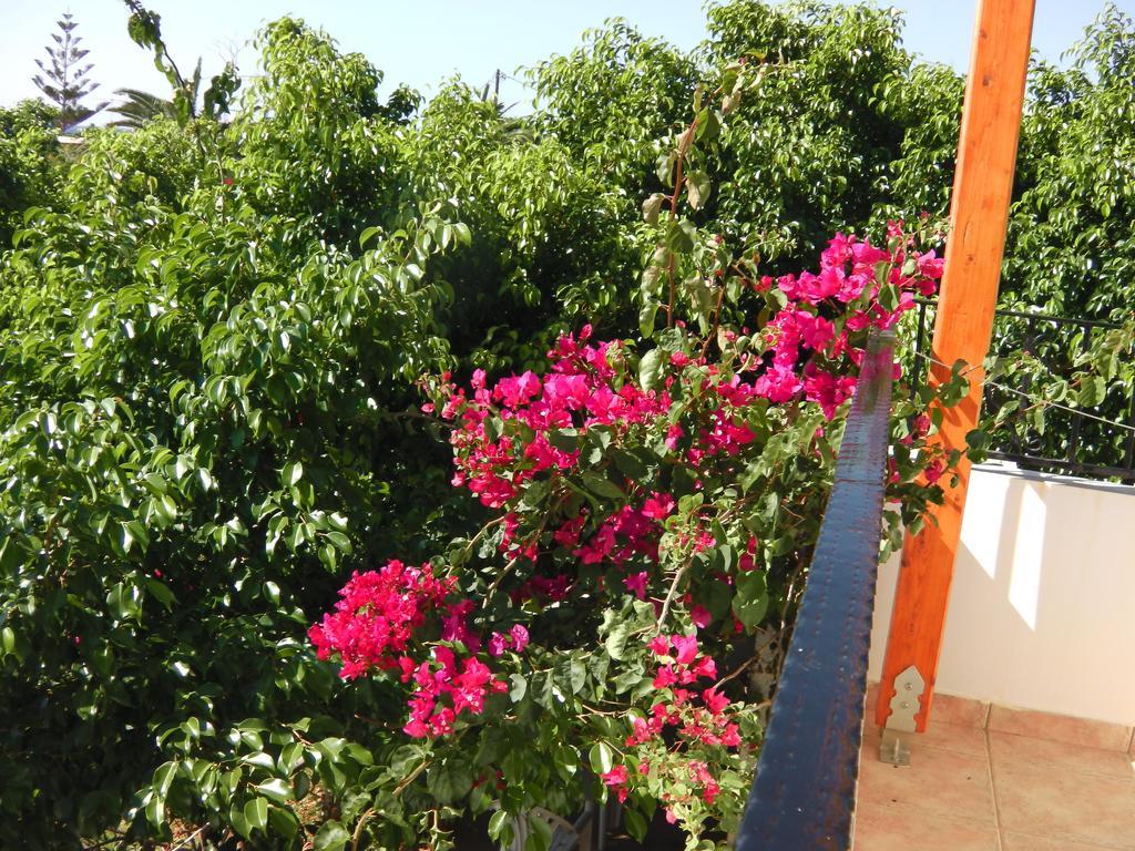 Serenity Hideaway Palaiochora Camera foto